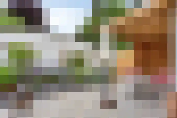 Van Ostadelaan 10 A Hilversum thumbnail 19