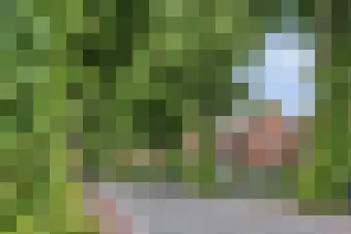 Van Ostadelaan 10 A Hilversum thumbnail 24