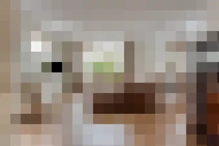 Van Ostadelaan 10 A Hilversum thumbnail 6