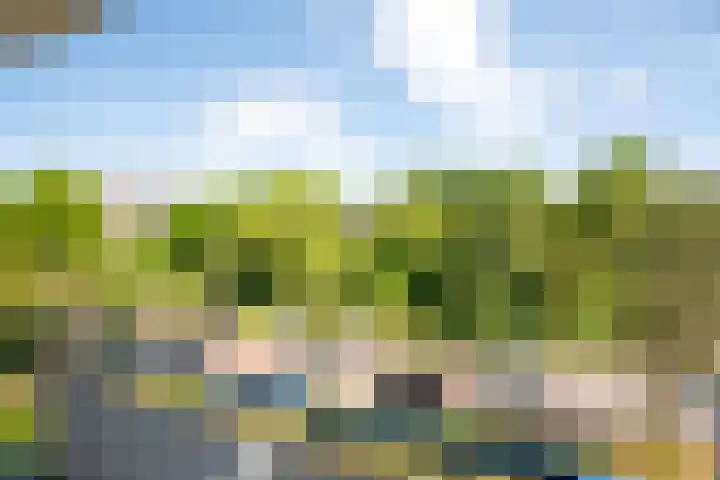 Van Ostadelaan 10 Alkmaar thumbnail 21