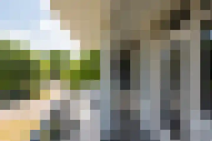Van Ostadelaan 10 Alkmaar thumbnail 22