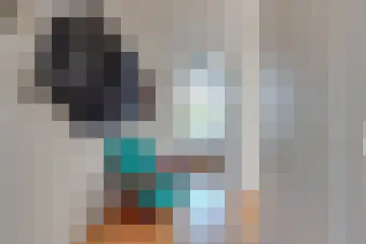 Van Ostadelaan 10 Alkmaar thumbnail 4