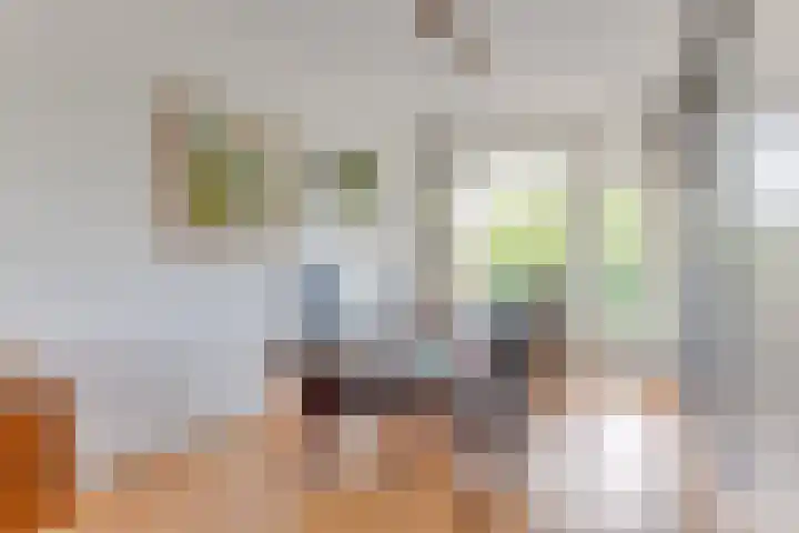 Van Ostadelaan 10 Alkmaar thumbnail 8
