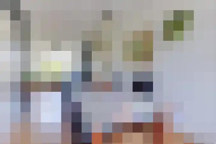 Van Ostadelaan 10 Alkmaar thumbnail 9