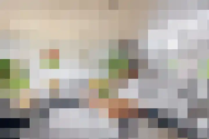 van Ostadelaan 10 Krimpen aan den IJssel thumbnail 11