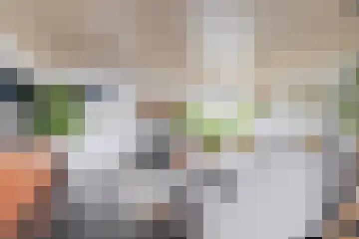 van Ostadelaan 10 Krimpen aan den IJssel thumbnail 12