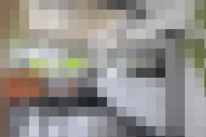 van Ostadelaan 10 Krimpen aan den IJssel thumbnail 17