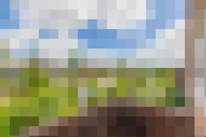 van Ostadelaan 10 Krimpen aan den IJssel thumbnail 33