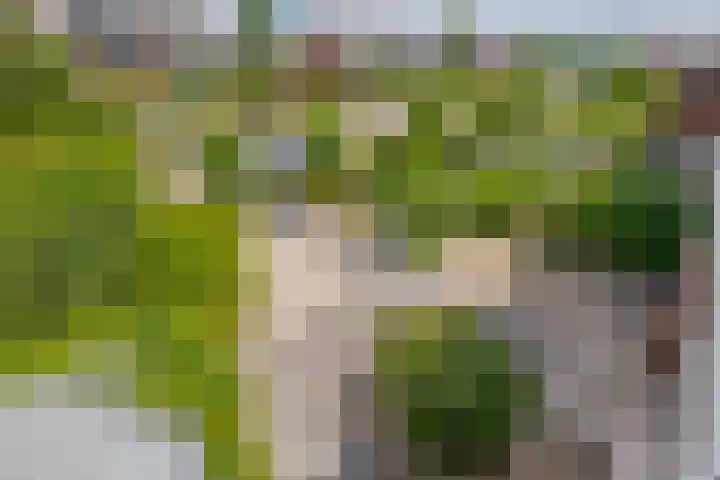 van Ostadelaan 10 Krimpen aan den IJssel thumbnail 34
