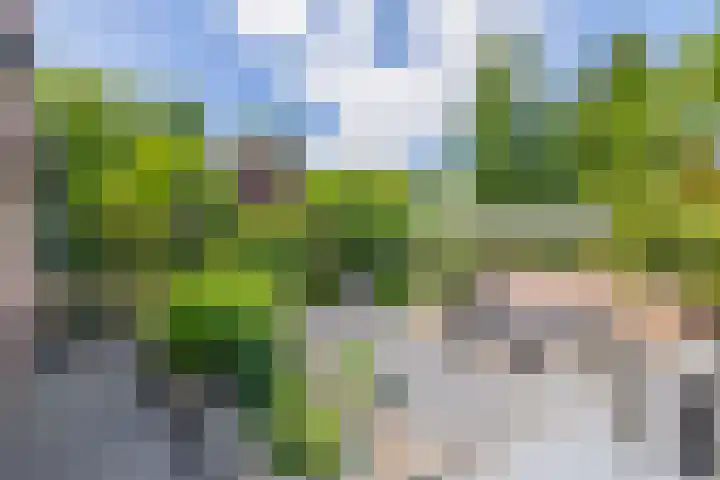 van Ostadelaan 10 Krimpen aan den IJssel thumbnail 4