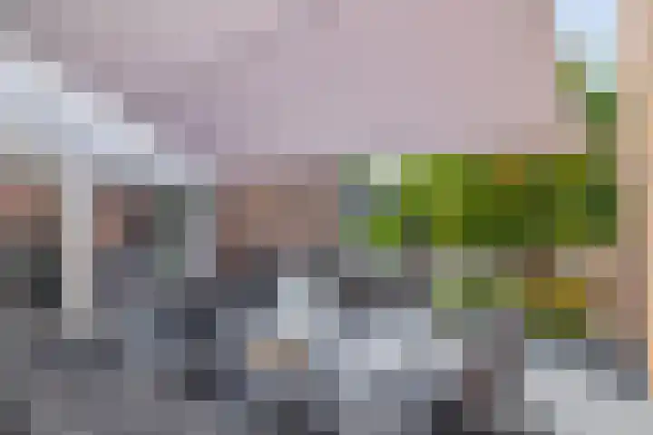 van Ostadelaan 10 Krimpen aan den IJssel thumbnail 42