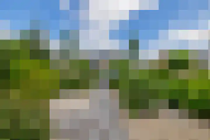 van Ostadelaan 10 Krimpen aan den IJssel thumbnail 5