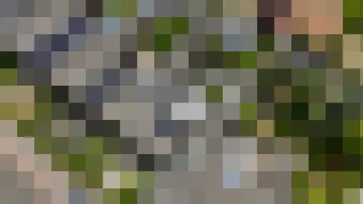 van Ostadelaan 10 Krimpen aan den IJssel thumbnail 50