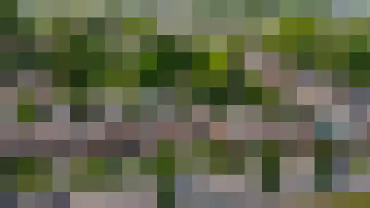 van Ostadelaan 10 Krimpen aan den IJssel thumbnail 51