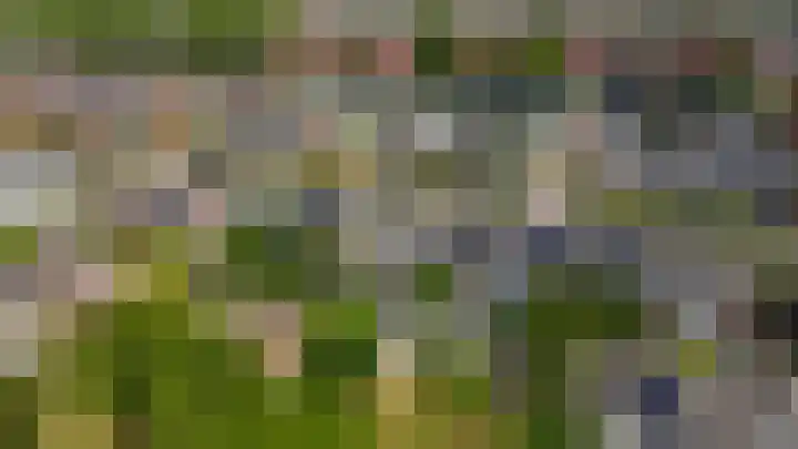 van Ostadelaan 10 Krimpen aan den IJssel thumbnail 52