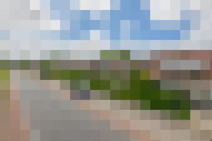 van Ostadelaan 10 Krimpen aan den IJssel thumbnail 6