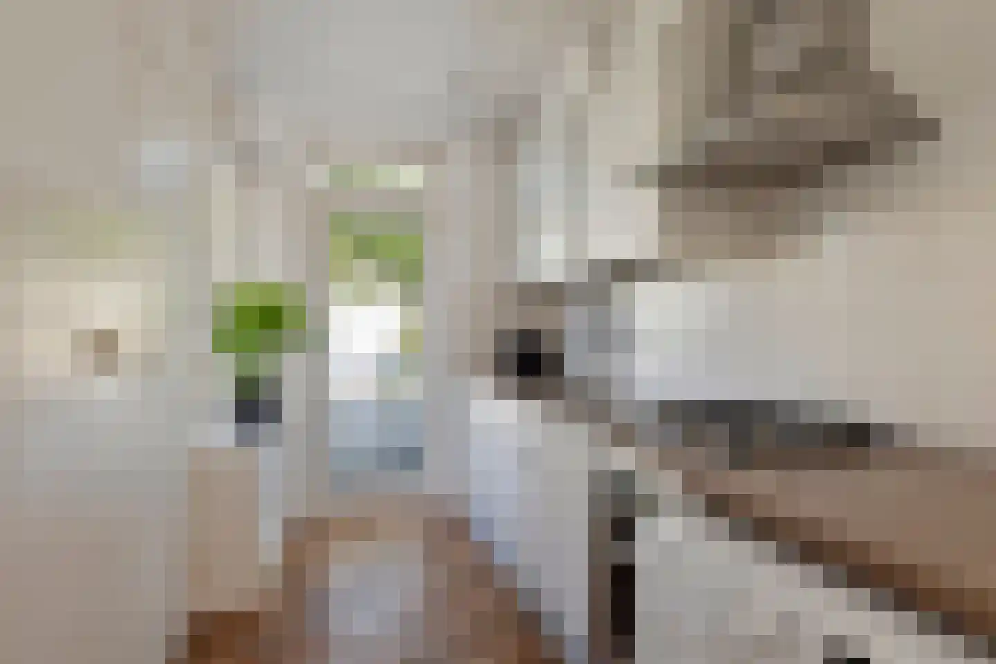 Van Ostadelaan 102 Alkmaar thumbnail 11