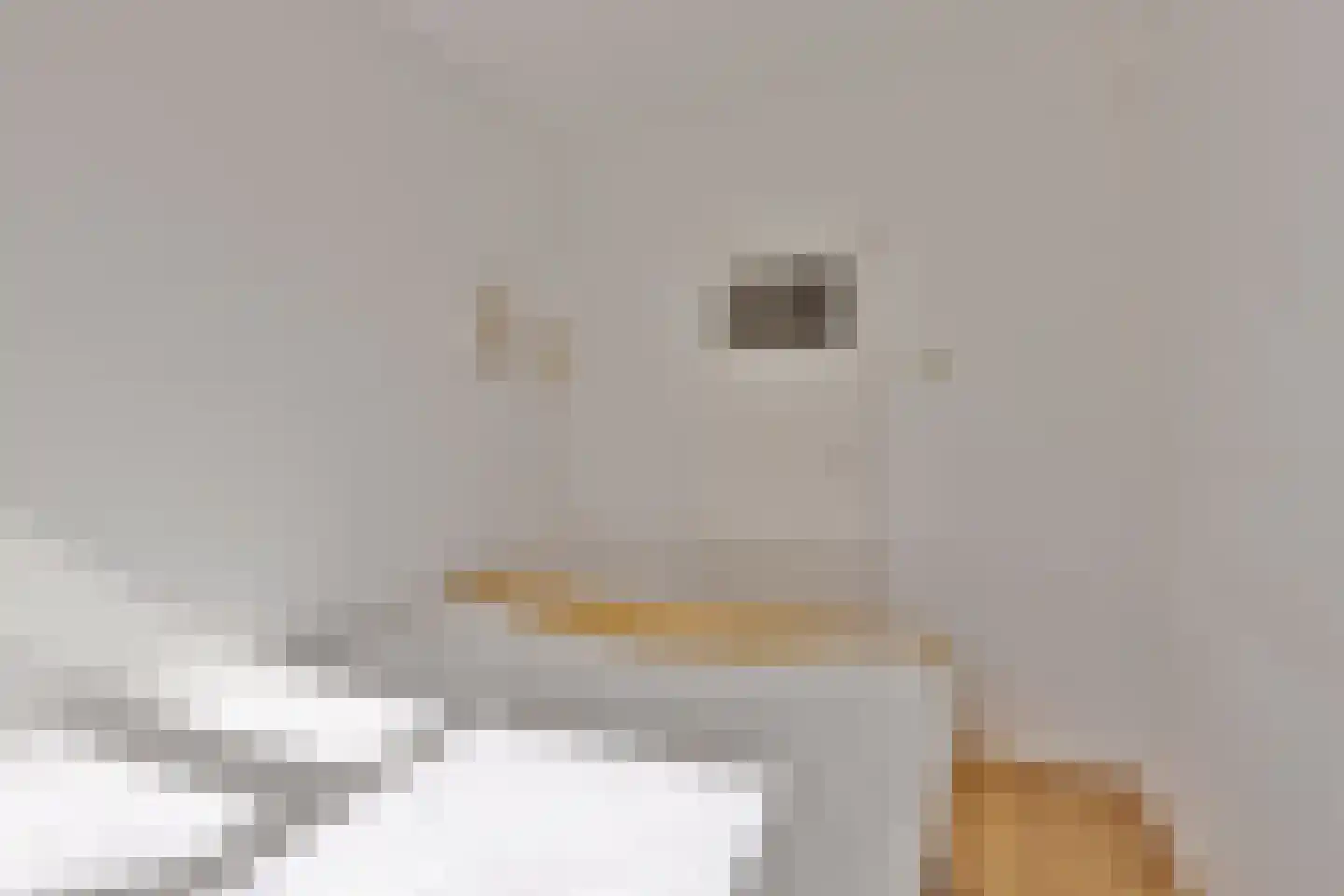 Van Ostadelaan 102 Alkmaar thumbnail 13