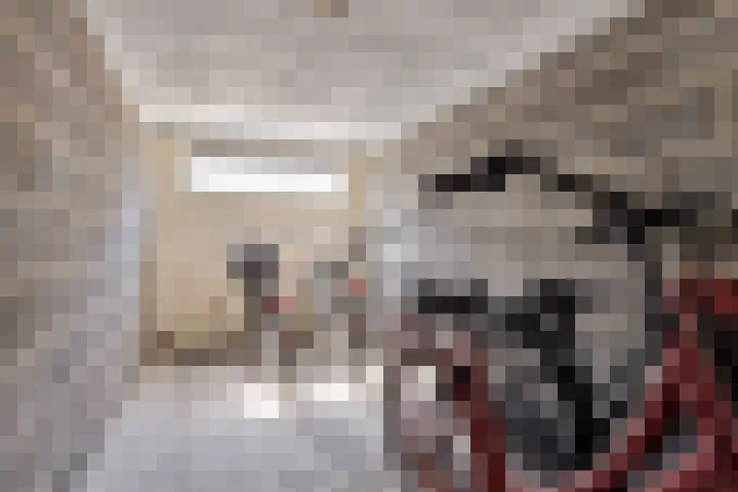 Van Ostadelaan 102 Alkmaar thumbnail 23