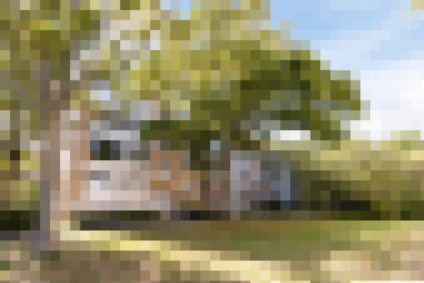 Van Ostadelaan 102 Alkmaar thumbnail 27