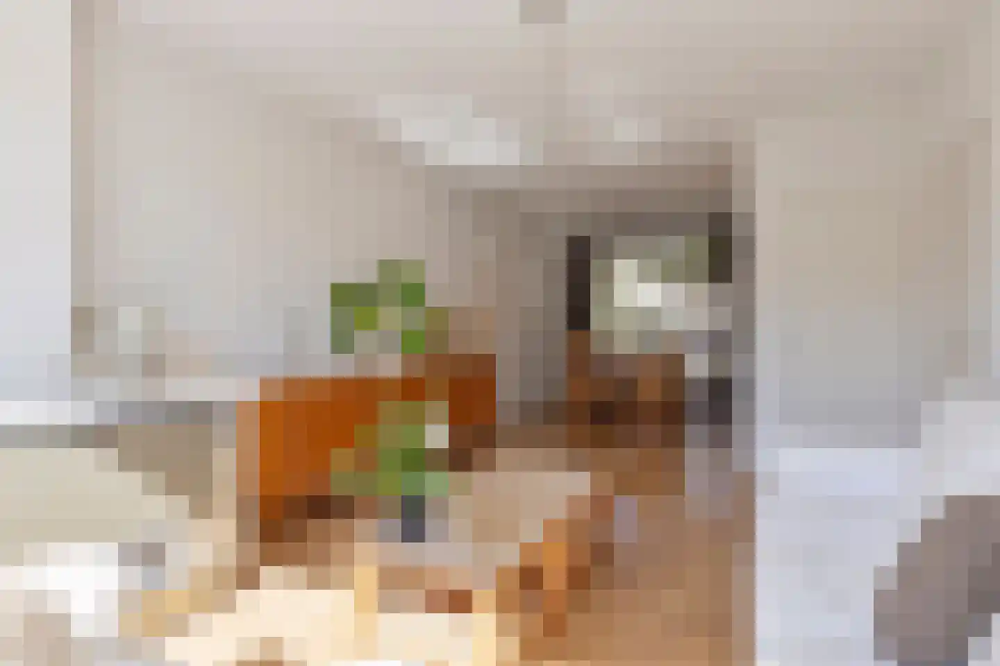 Van Ostadelaan 102 Alkmaar thumbnail 4