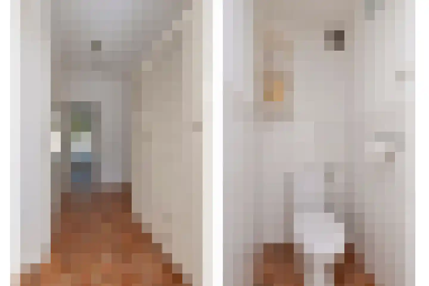 Van Ostadelaan 102 Alkmaar thumbnail 7
