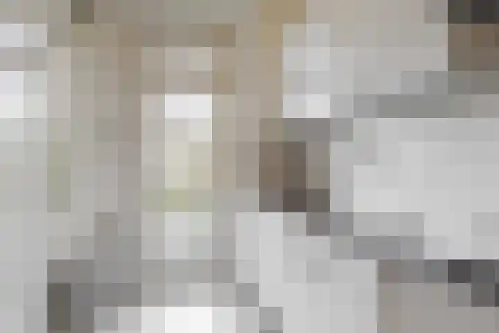 Van Ostadelaan 122 Alkmaar thumbnail 10