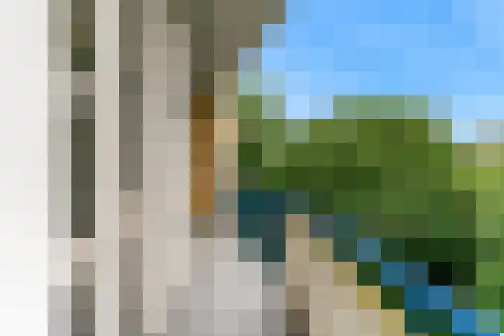 Van Ostadelaan 122 Alkmaar thumbnail 18