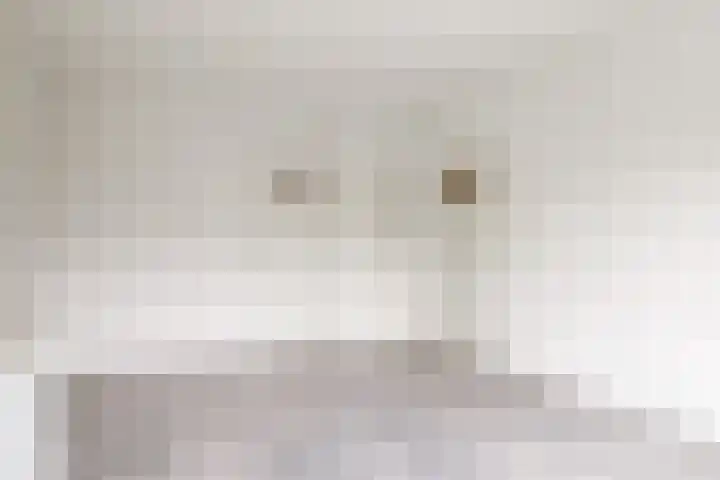 Van Ostadelaan 122 Alkmaar thumbnail 5