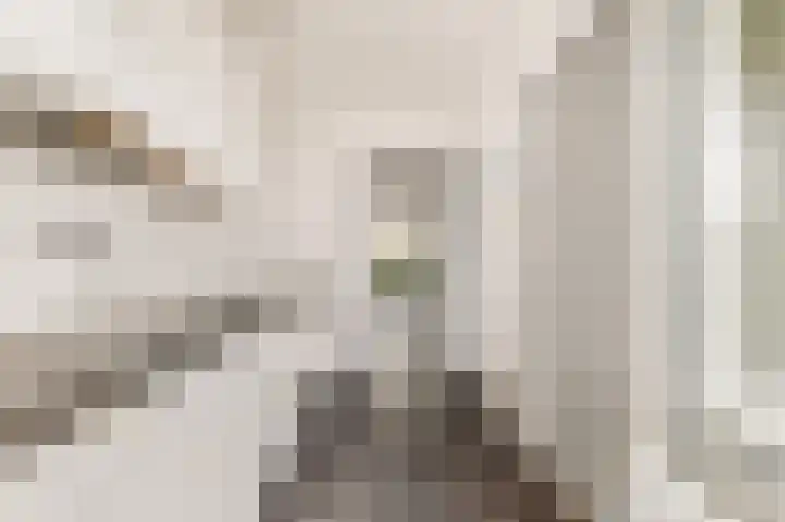 Van Ostadelaan 124 Alkmaar thumbnail 12