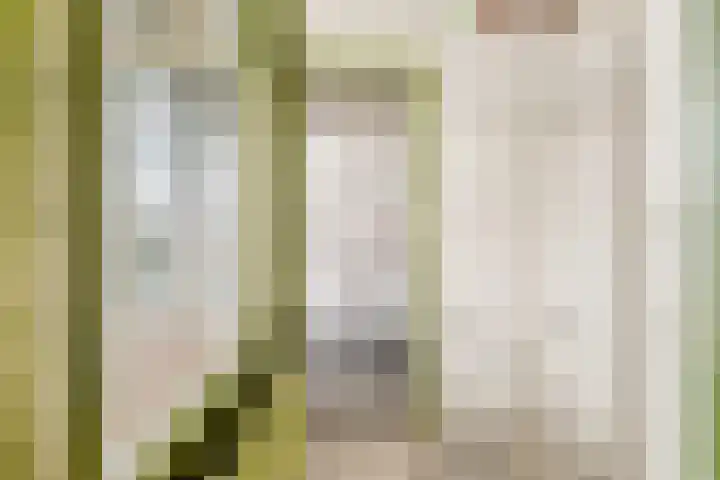 Van Ostadelaan 124 Alkmaar thumbnail 13