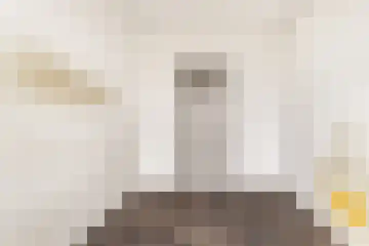 Van Ostadelaan 124 Alkmaar thumbnail 18
