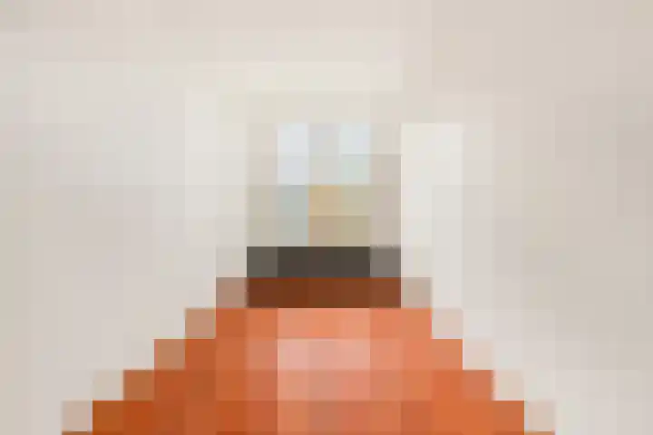 Van Ostadelaan 124 Alkmaar thumbnail 20