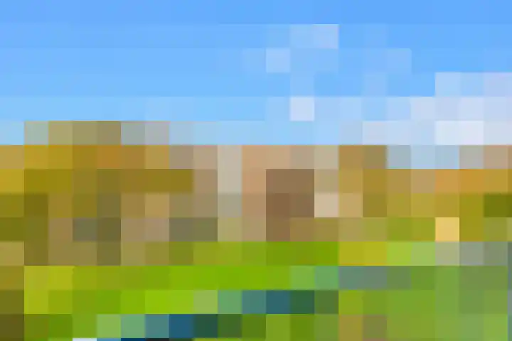 Van Ostadelaan 124 Alkmaar thumbnail 27