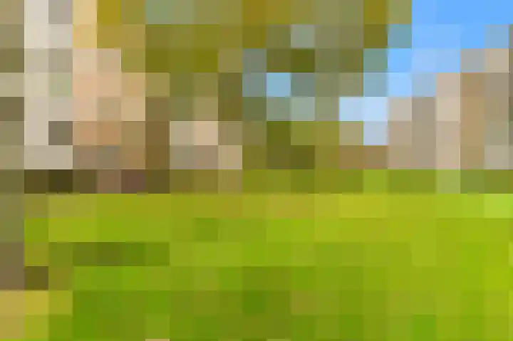 Van Ostadelaan 124 Alkmaar thumbnail 29