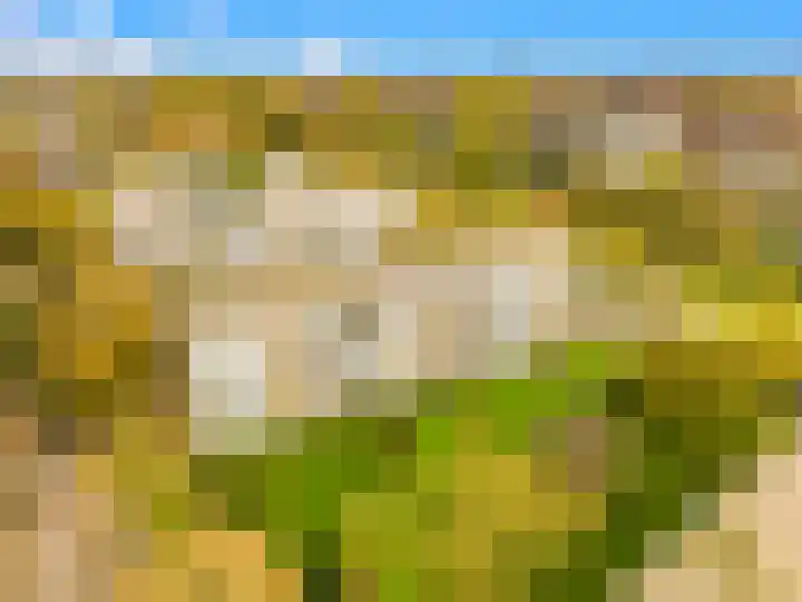 Van Ostadelaan 124 Alkmaar thumbnail 31