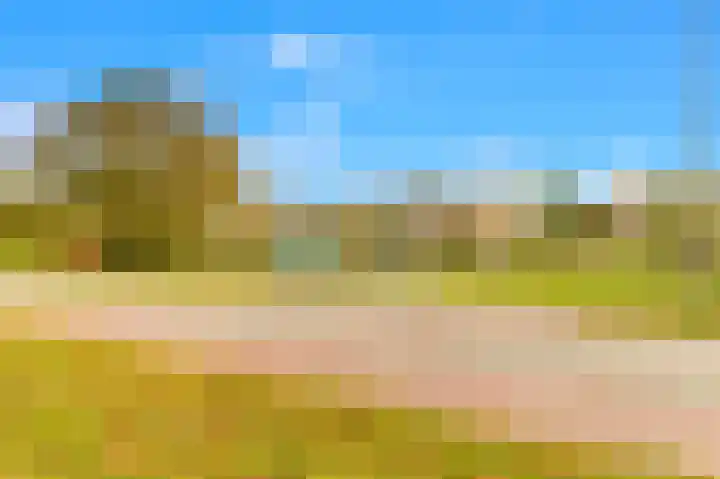 Van Ostadelaan 124 Alkmaar thumbnail 32