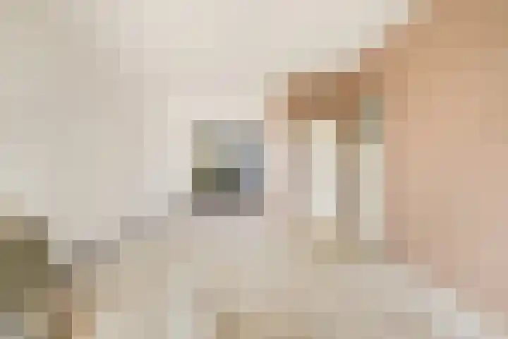 Van Ostadelaan 124 Alkmaar thumbnail 7