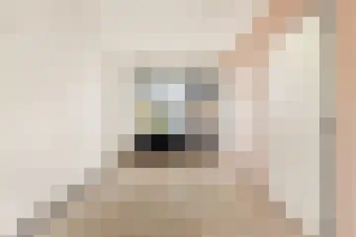 Van Ostadelaan 124 Alkmaar thumbnail 8