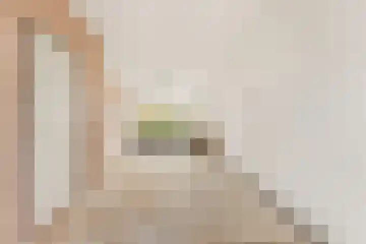 Van Ostadelaan 124 Alkmaar thumbnail 9