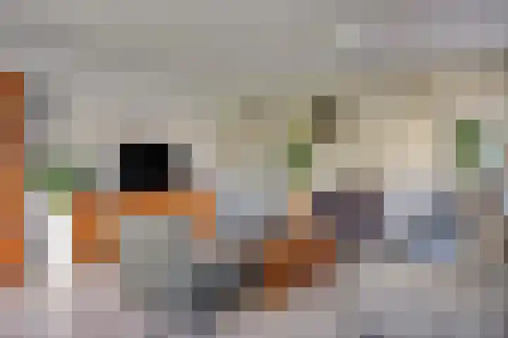 van Ostadelaan 13 B Heerhugowaard thumbnail 11
