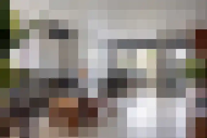 van Ostadelaan 13 B Heerhugowaard thumbnail 12