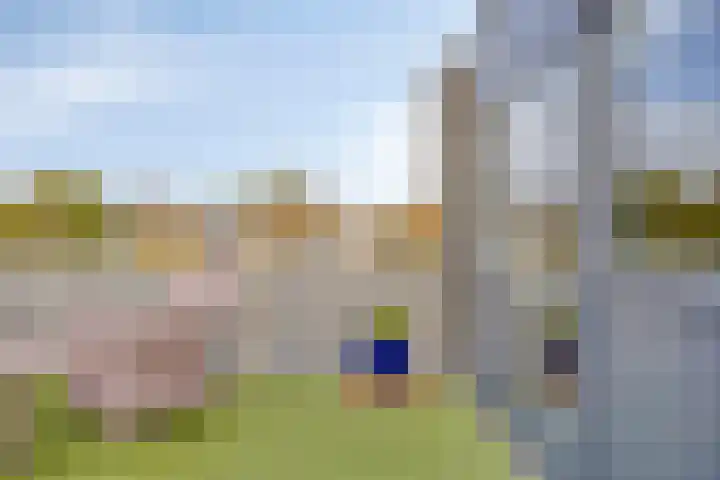 van Ostadelaan 13 B Heerhugowaard thumbnail 35