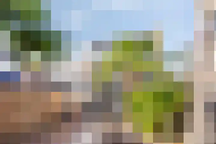 van Ostadelaan 13 B Heerhugowaard thumbnail 4