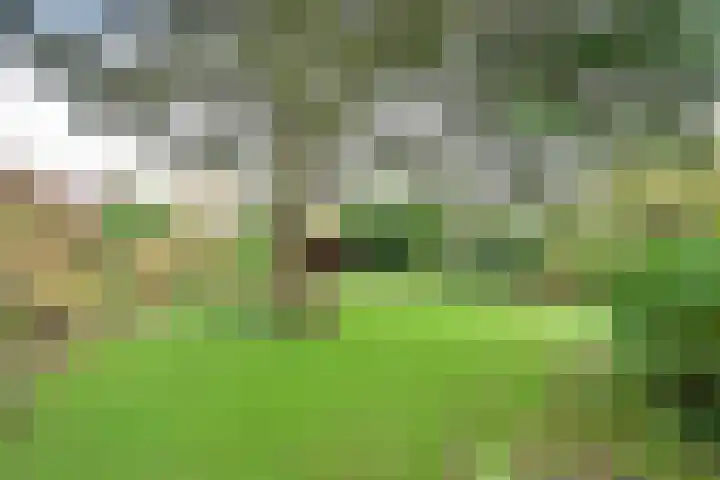van Ostadelaan 13 Muiderberg thumbnail 10
