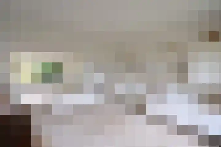 van Ostadelaan 13 Muiderberg thumbnail 12
