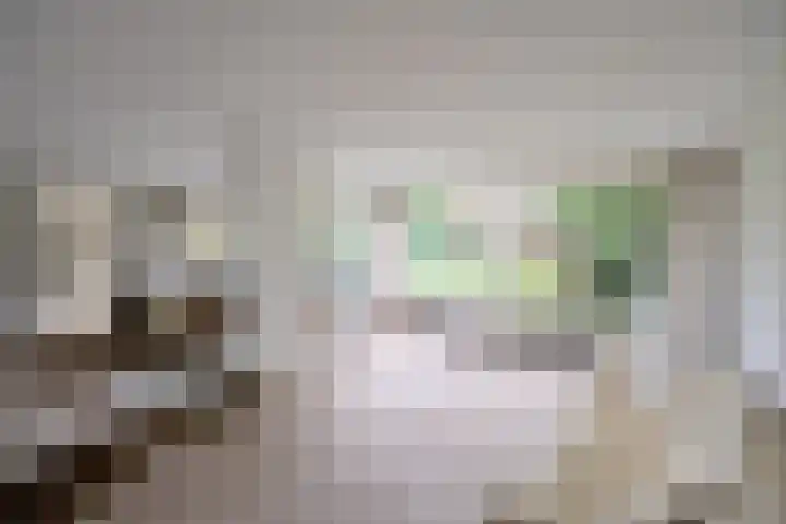 van Ostadelaan 13 Muiderberg thumbnail 14