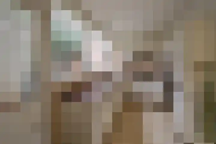 van Ostadelaan 13 Muiderberg thumbnail 20