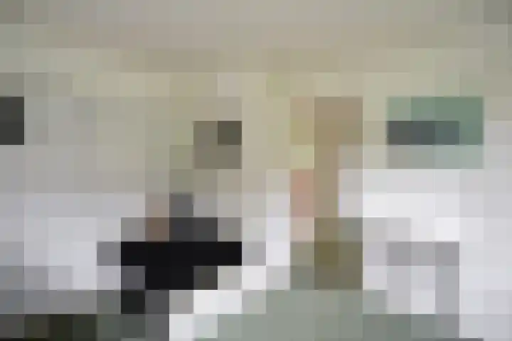van Ostadelaan 13 Muiderberg thumbnail 23