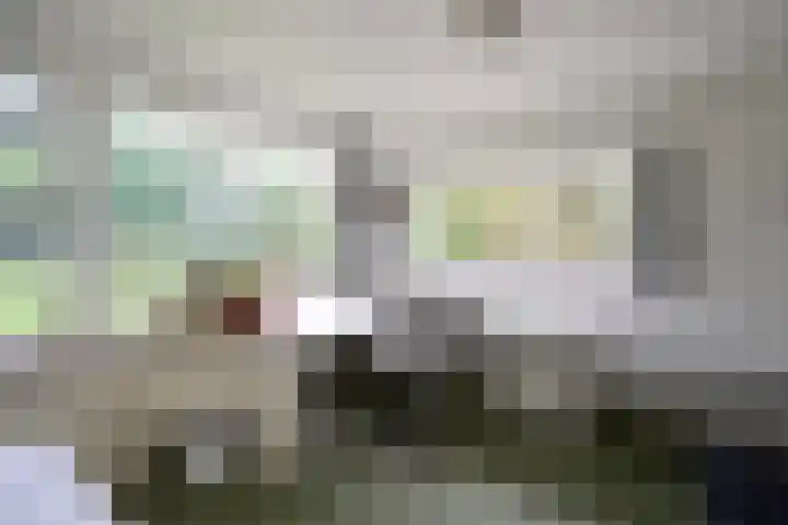 van Ostadelaan 13 Muiderberg thumbnail 24
